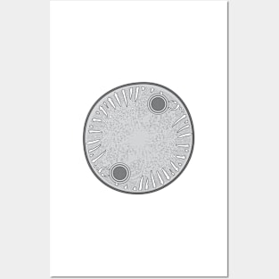 Diatom - Auliscus - Artwork Posters and Art